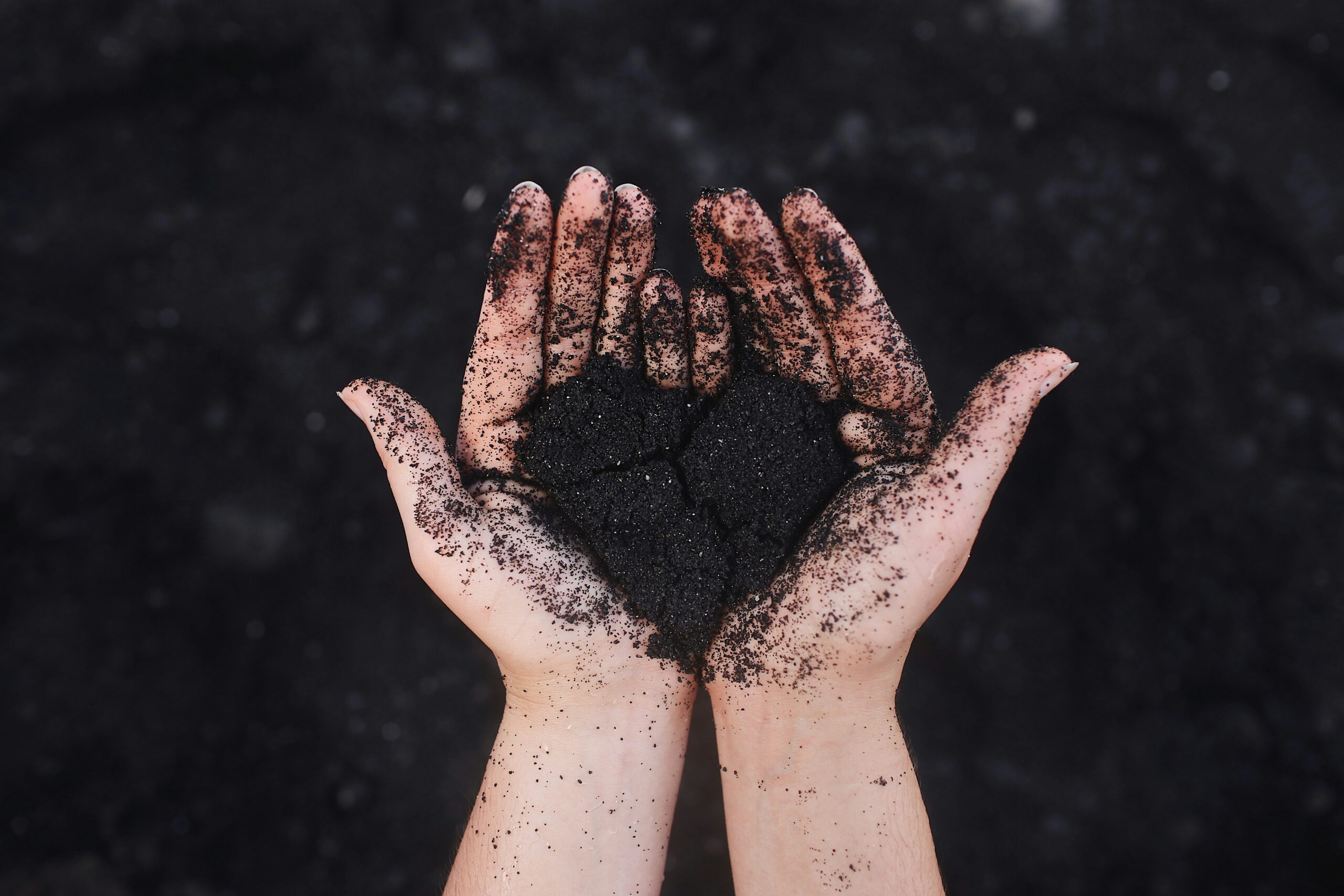 Mani con terra a forma di cuore